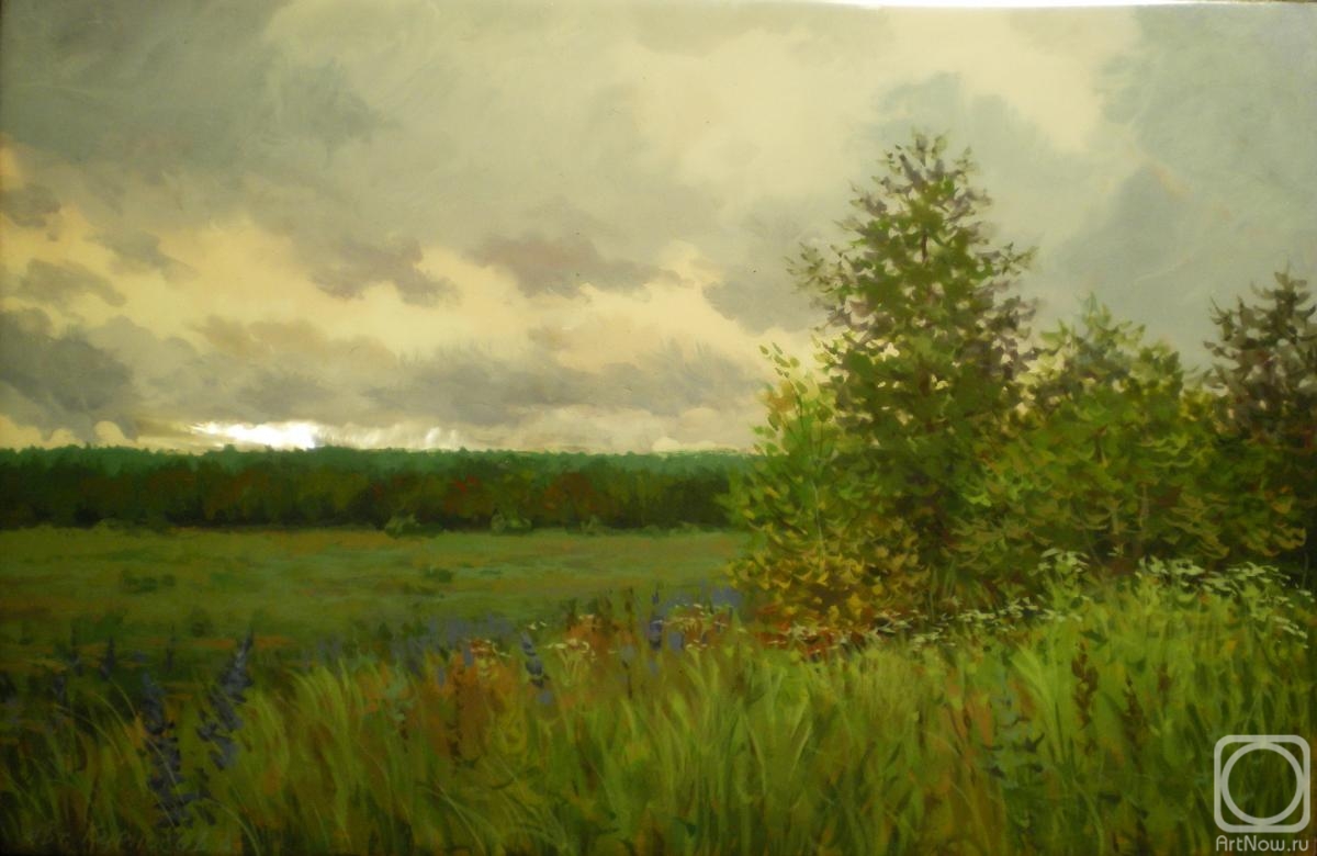 Kurnosov Andrey. Before the rain