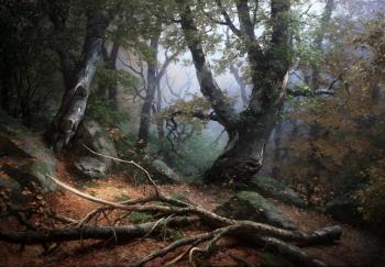 Deep in old forest. Pryadko Yuri
