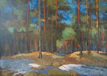 ������� ��������� ����. ������