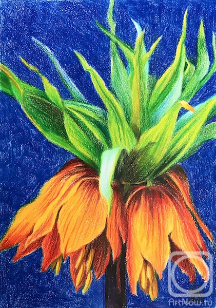 �������. �������� ������. ������ �������