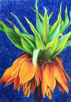 ������ �������. �������� ������