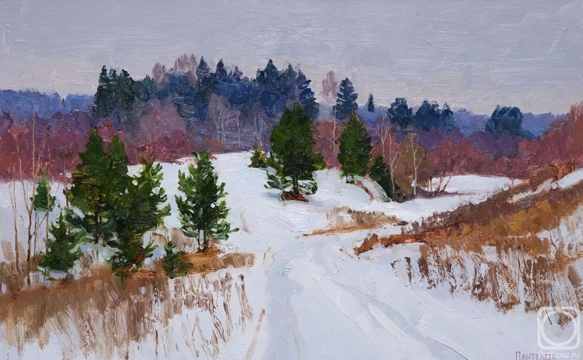 ������� ������ �� ������. ��������� ������. ���������