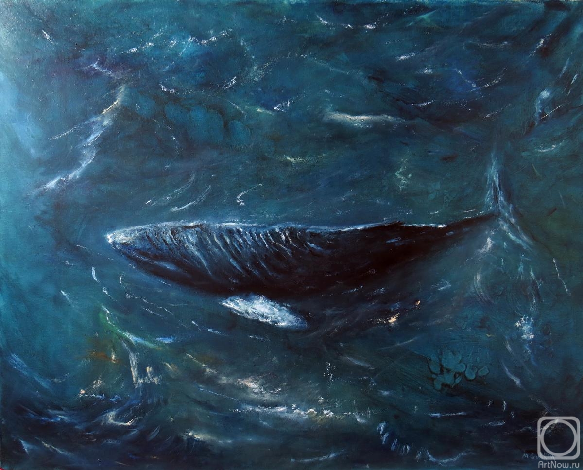 Gubkin Michail. The blue whale
