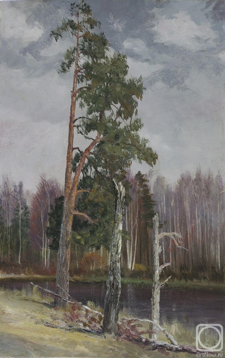 Filippenko Pyotr. Pine
