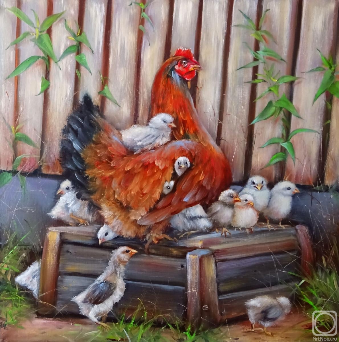 ������� ������ �� ������. �������� ��������. ������