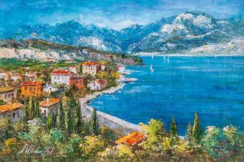 View of the bay. Vlodarchik Andjei