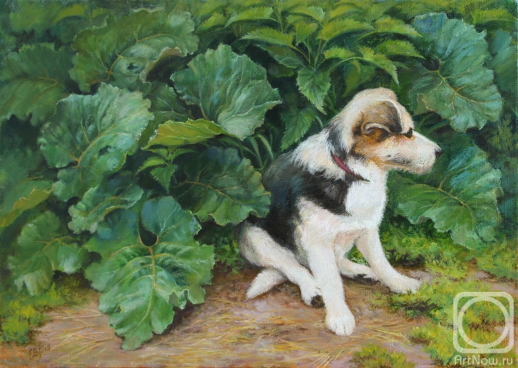 Shumakova Elena. Dog Barbos