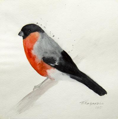 Bullfinch