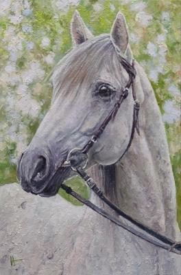 Volya Alexander . Withe Horse