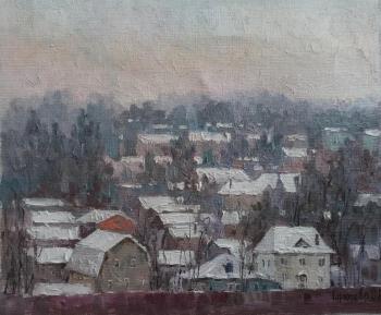 Winter in Dmitrov. Goryunova Olga