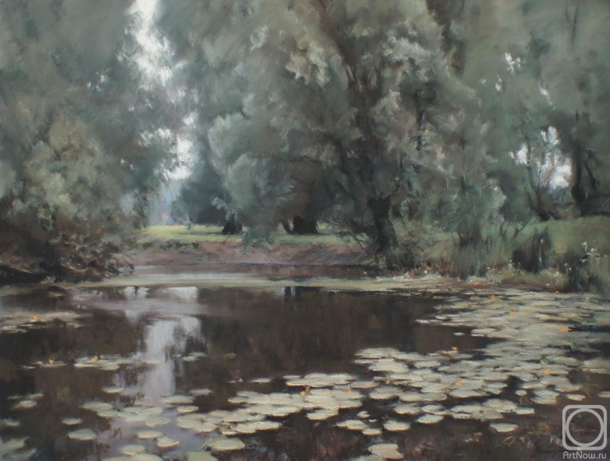 Urzhumov Sergey. Overgrown pond