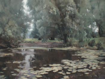 Overgrown pond. Urzhumov Sergey