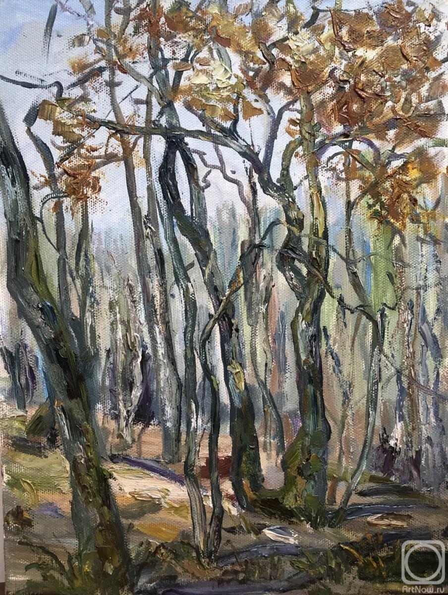 ������� ������ �� ������. ������ �����. ����