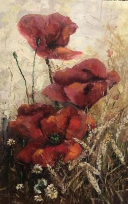 Poppies in a wheat field