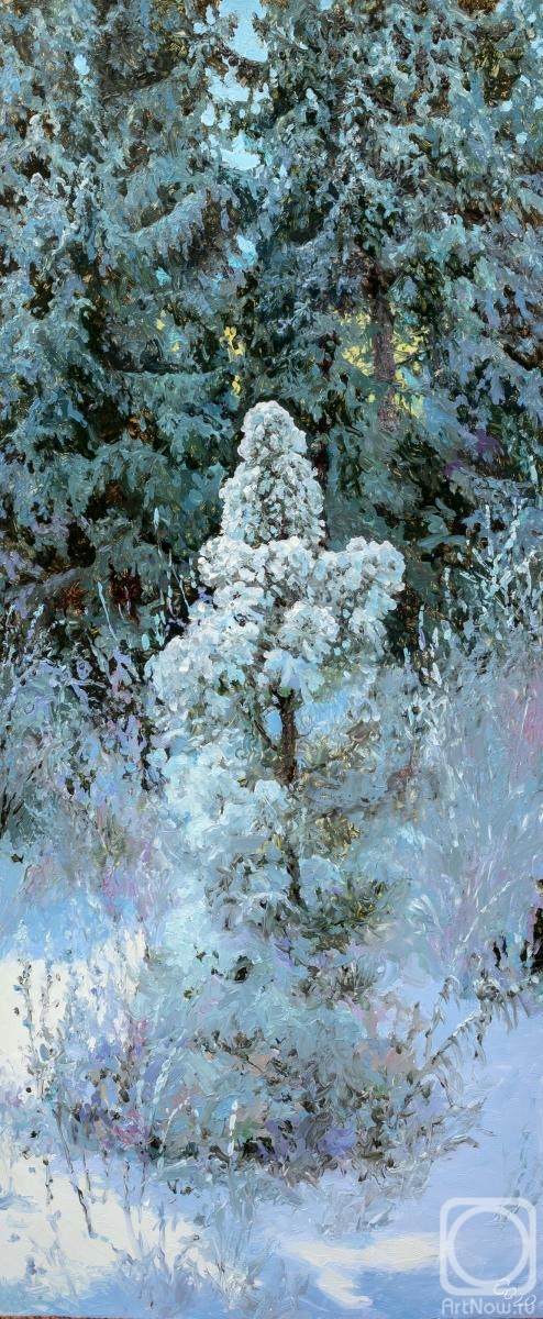 Sergeev Oleg. Pine tree