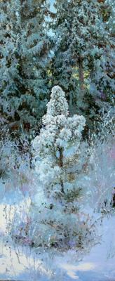 Pine tree. Sergeev Oleg