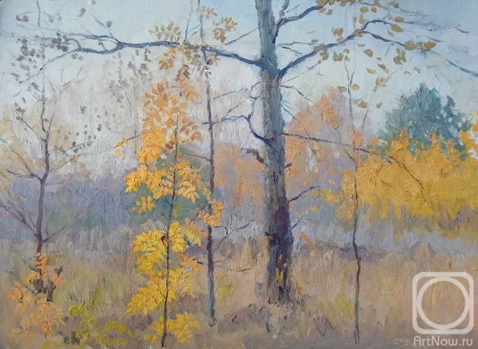 �������. ���������� ����������. �������