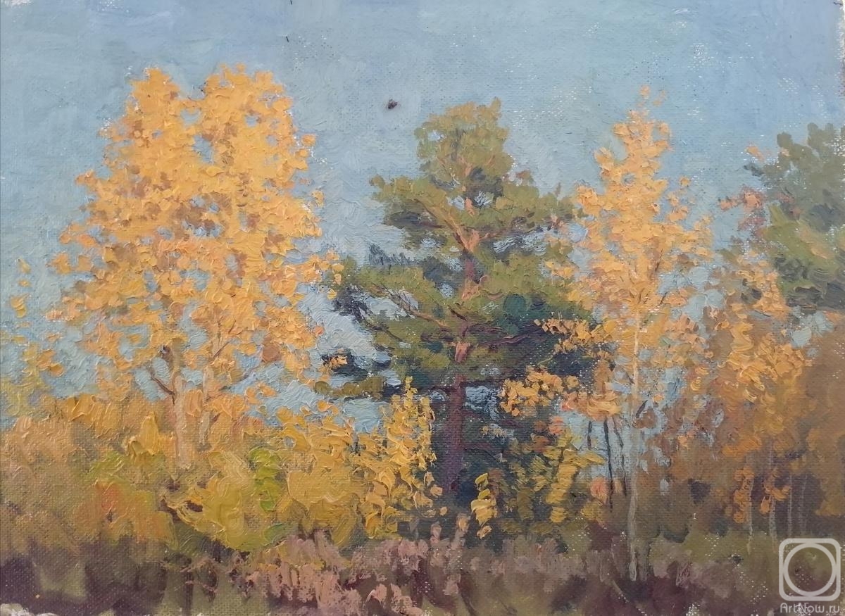Zabolotnyh Konstantin. Golden autumn