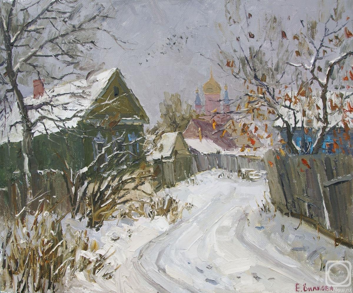 Vilkova Elena. The first snow fell in Serdobsk