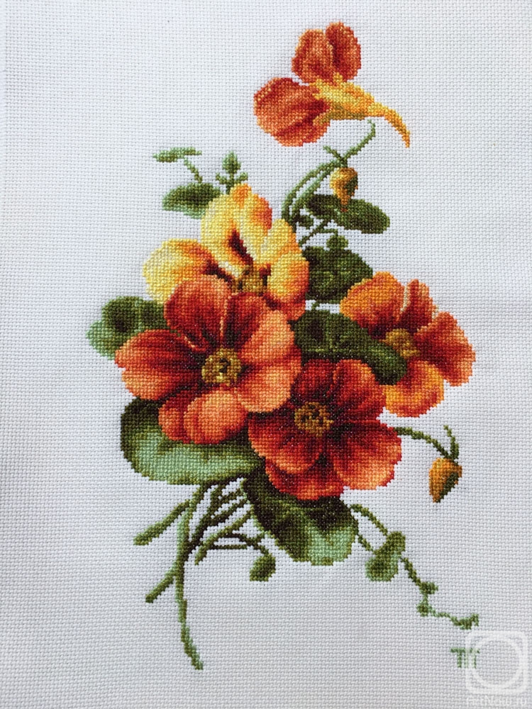 �������. ���������� �������. ���������