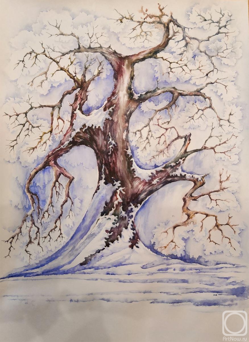 Glotow Evgeniy. Winter oak
