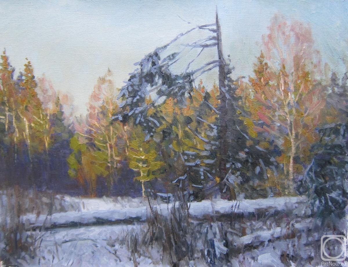 Chertov Sergey. Winter evening in the forest