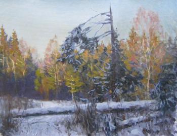 Winter evening in the forest. Chertov Sergey