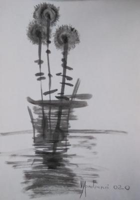 ��� ��������� ���� ���, ��������. ���������� �������