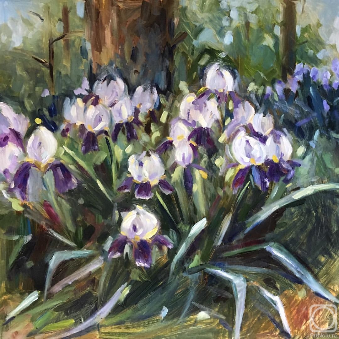 Drobot Aleksandra. Irises