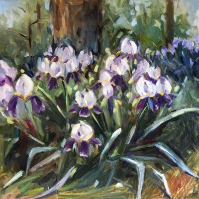 Irises