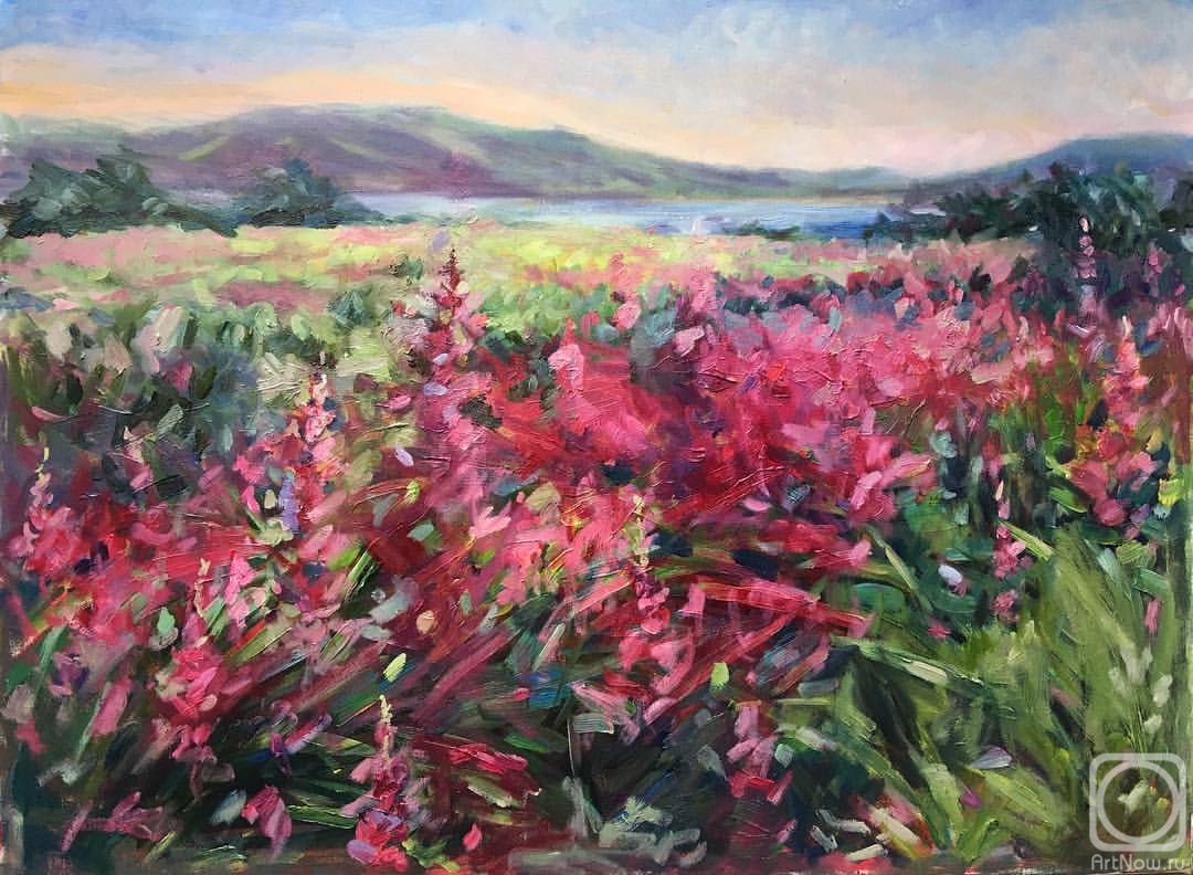 Drobot Aleksandra. Ivan-Tea