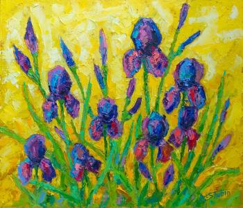Irises. Shubin Artyom