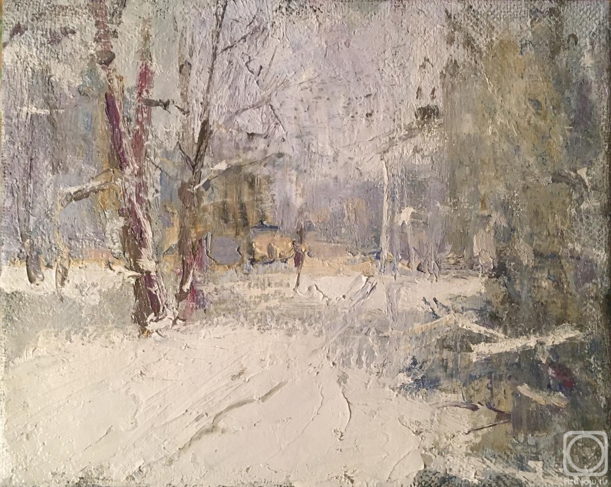 Zhmurko Anton. Winter etude of Vorontsov park