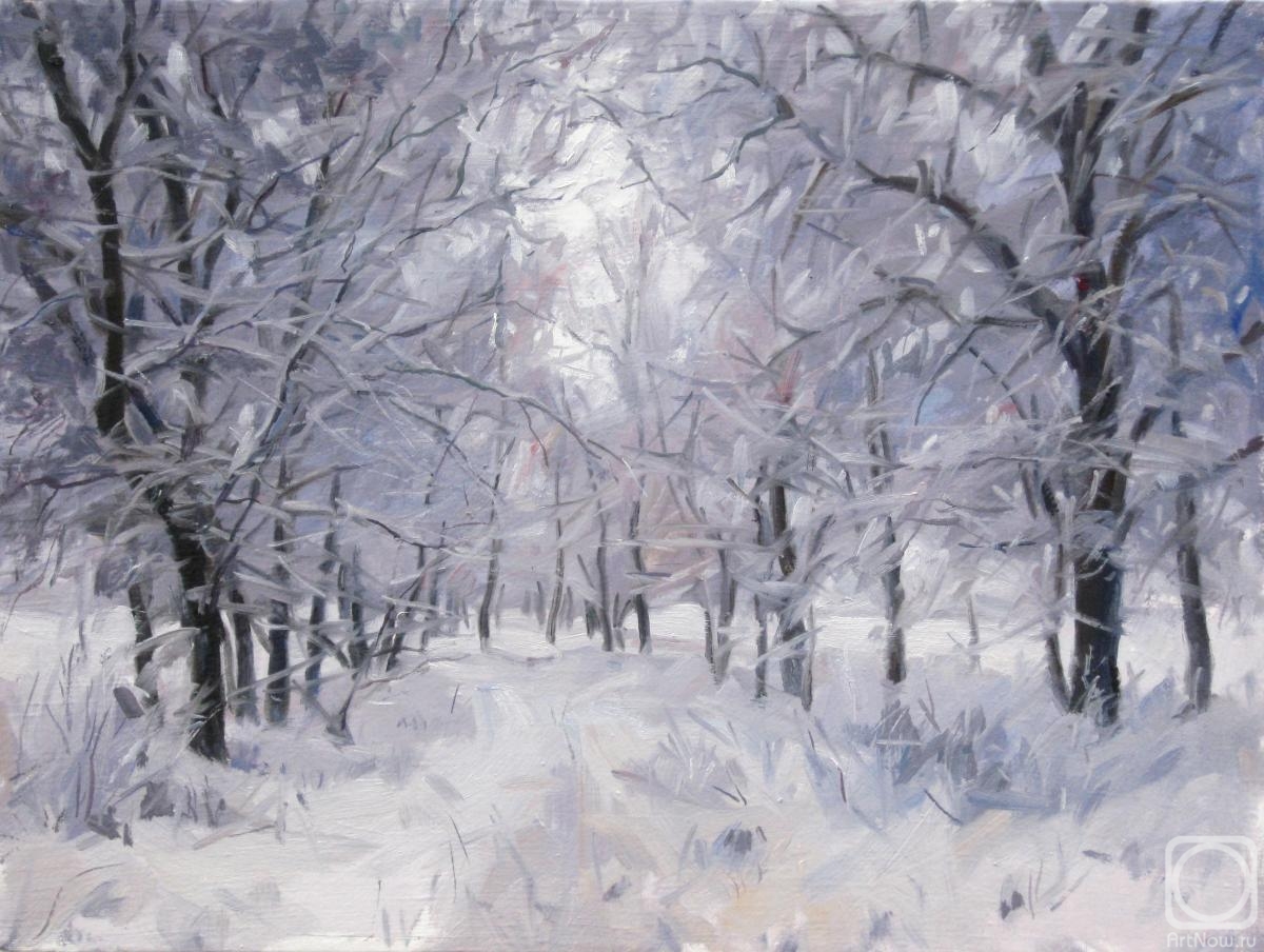 Voronov Vladimir. Oak grove after a snowfall