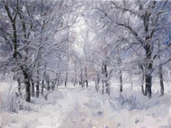 Oak grove after a snowfall. Voronov Vladimir