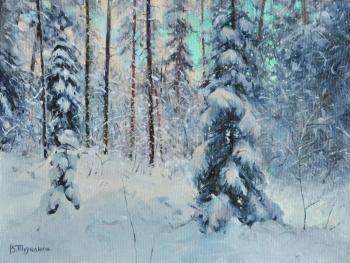 Winter motif ( ). Trubanov Vitaly