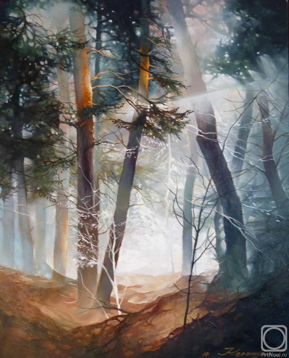 Kalachikhina Galina. Light in the forest