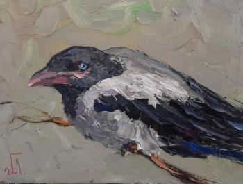 Crow (A Crow). Golovchenko Alexey