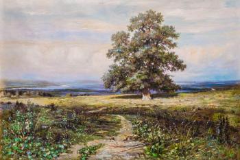 A copy of Ivan Shishkin's painting. Among the flat valley (Among The Valley). Kamskij Savelij