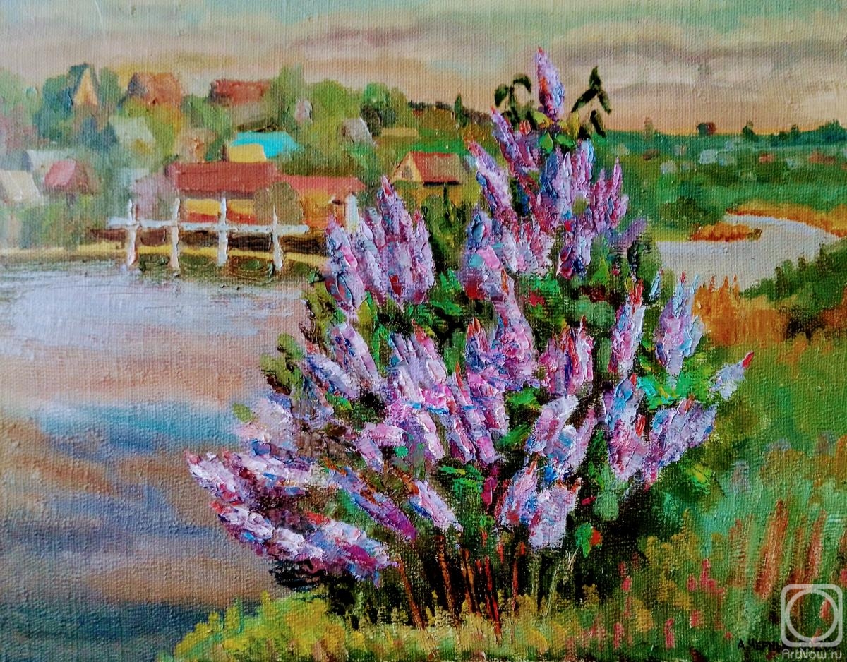 Chernyy Alexandr. In the Spikelet lilac blooms