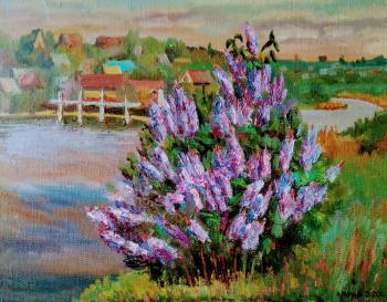 In the Spikelet lilac blooms. Chernyy Alexandr