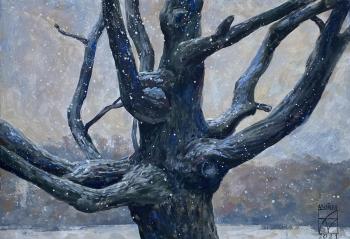 Portrait of a tree (Winter Without Snow). Aristova Maria