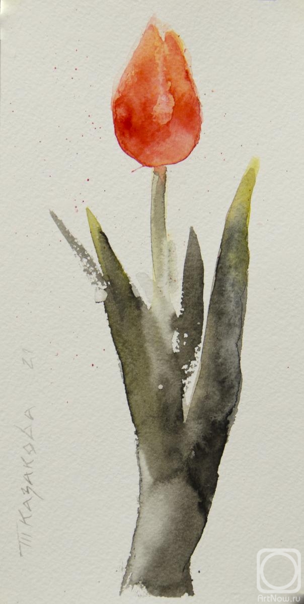 Kazakova Tatyana. Tulip