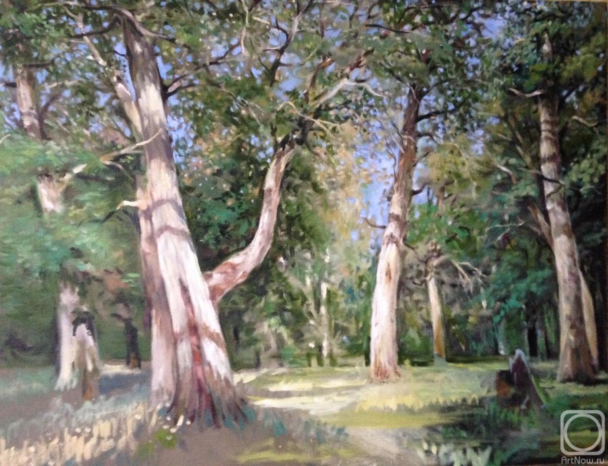 ������� ������ �� ������. ����� ��������. ������� ����