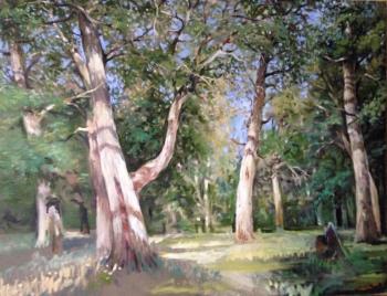 Oak Grove. Ilin Vladimir