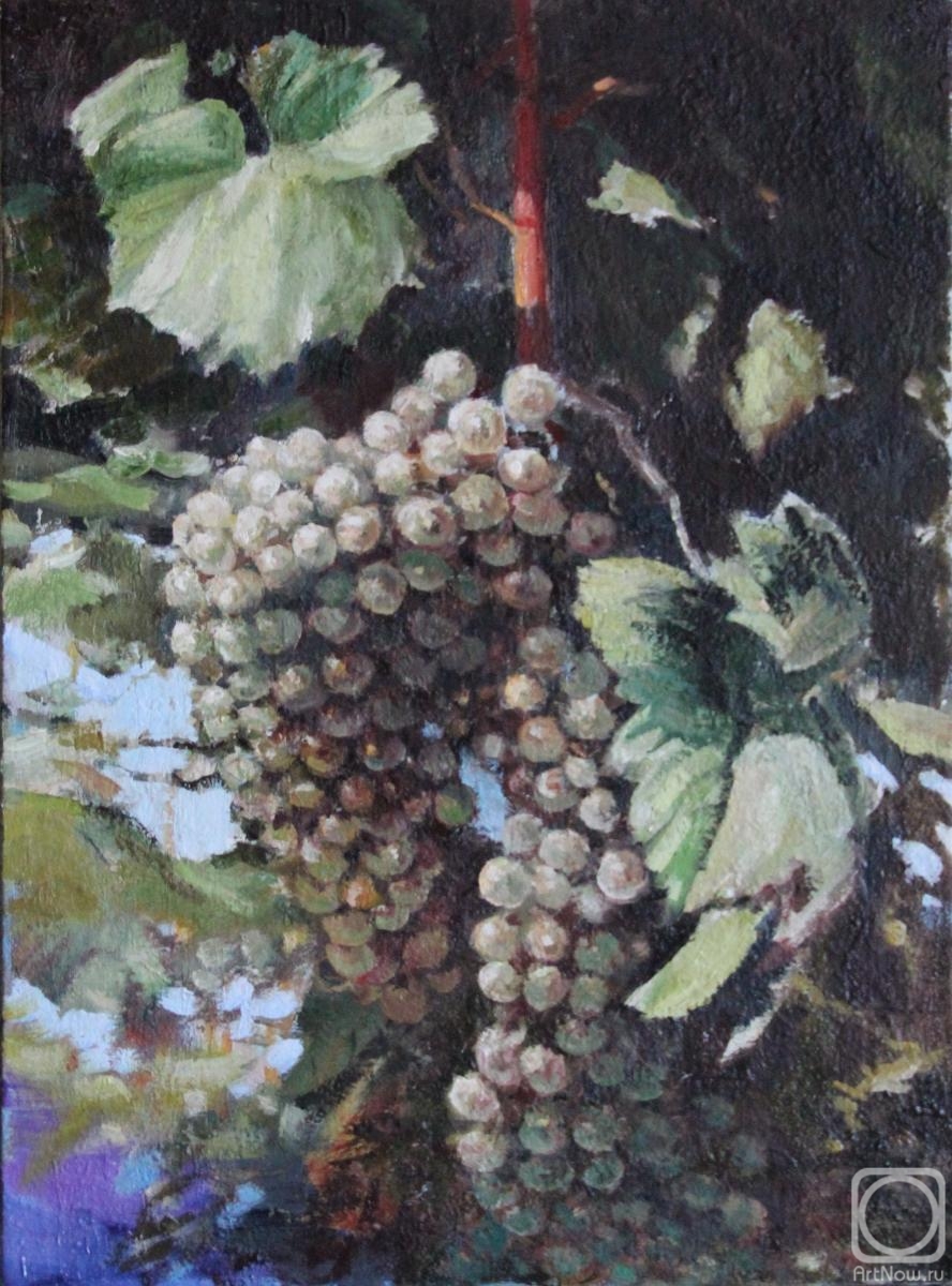Ilin Vladimir. A branch of grapes