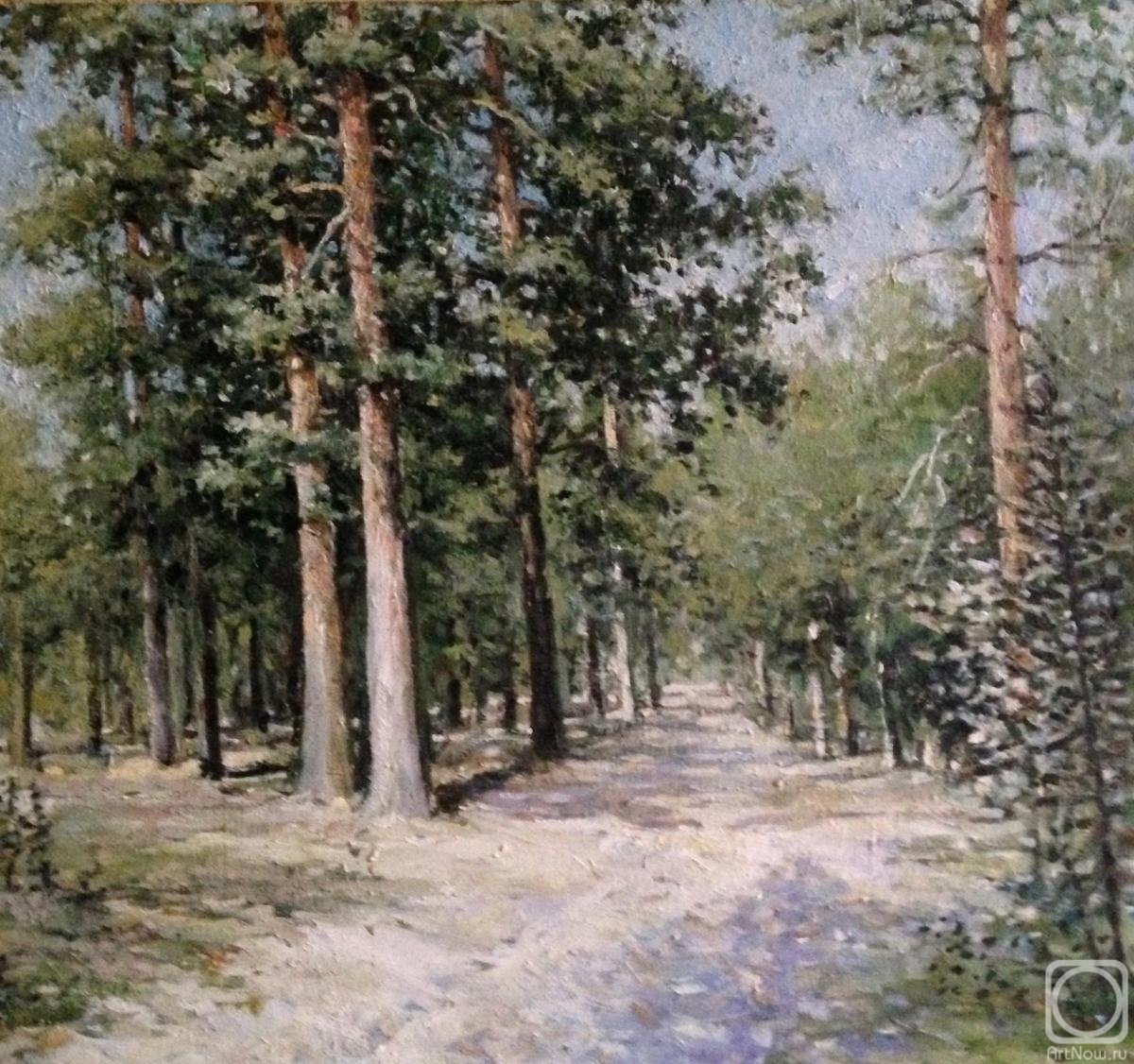 Ilin Vladimir. Pine forest
