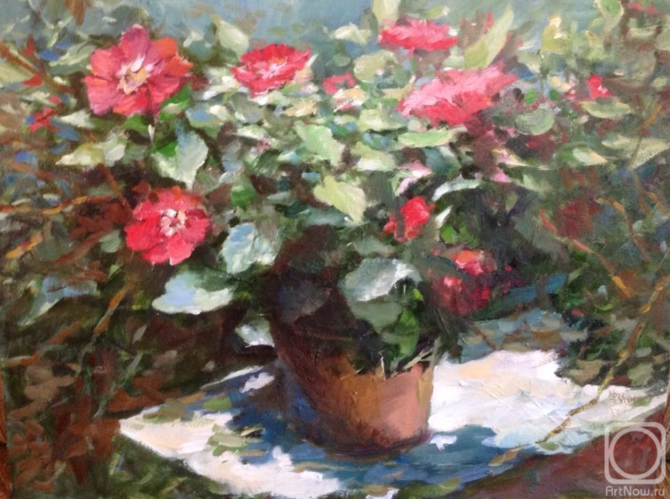 Ilin Vladimir. House flowers