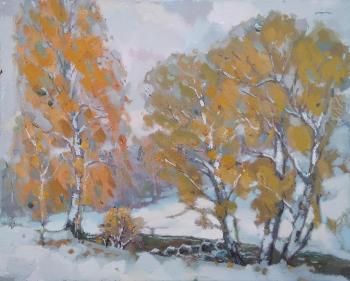 Golden autumn, wearing a white blanket, became even more beautiful. Arepyev Vladimir
