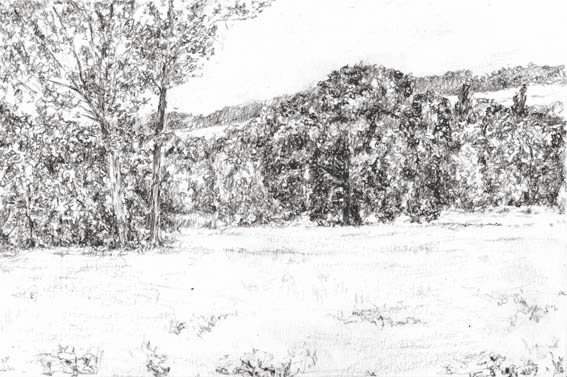 �������. ������� ����. ������. ���� "������"